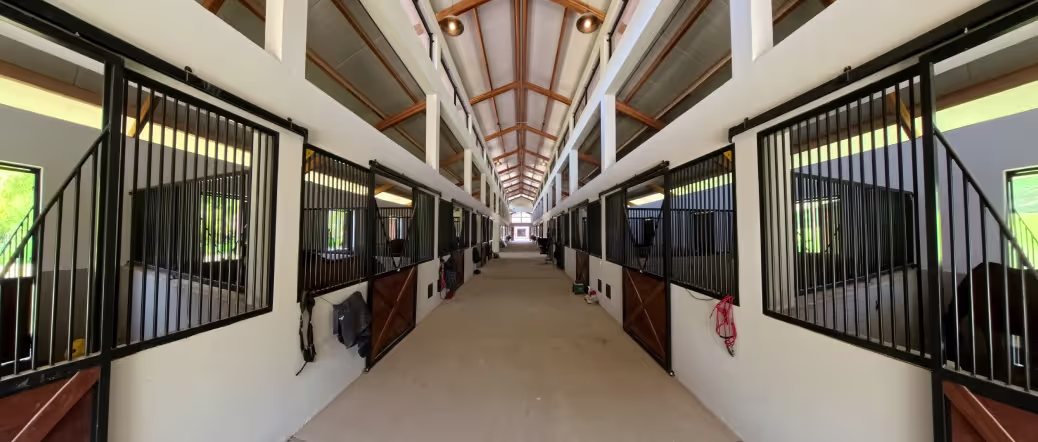 HARAS LA ESTANCIA (1)
